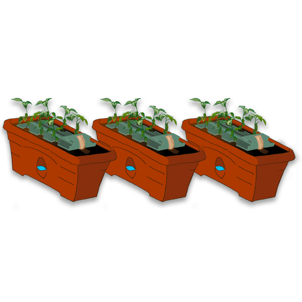 The ORIGINAL GrowBox™ Planter Garden Patch