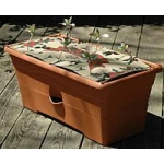 The Nutrient Patch Replanting Kit