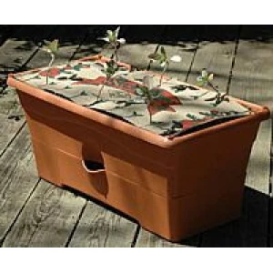 The Nutrient Patch Replanting Kit