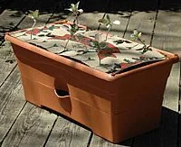 The Nutrient Patch Replanting Kit