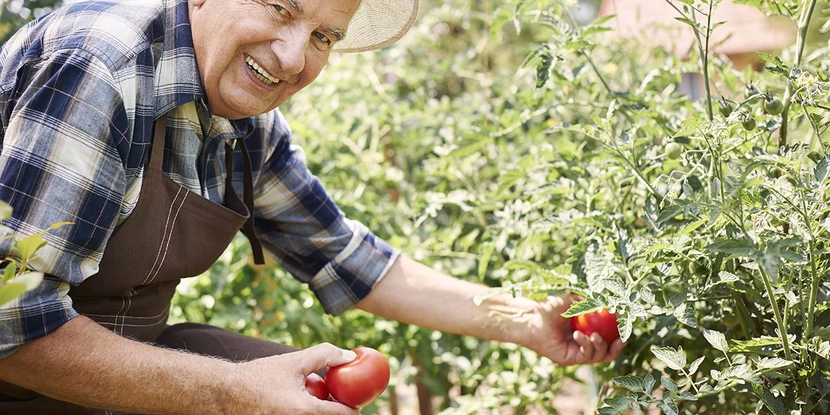 garden nutrients