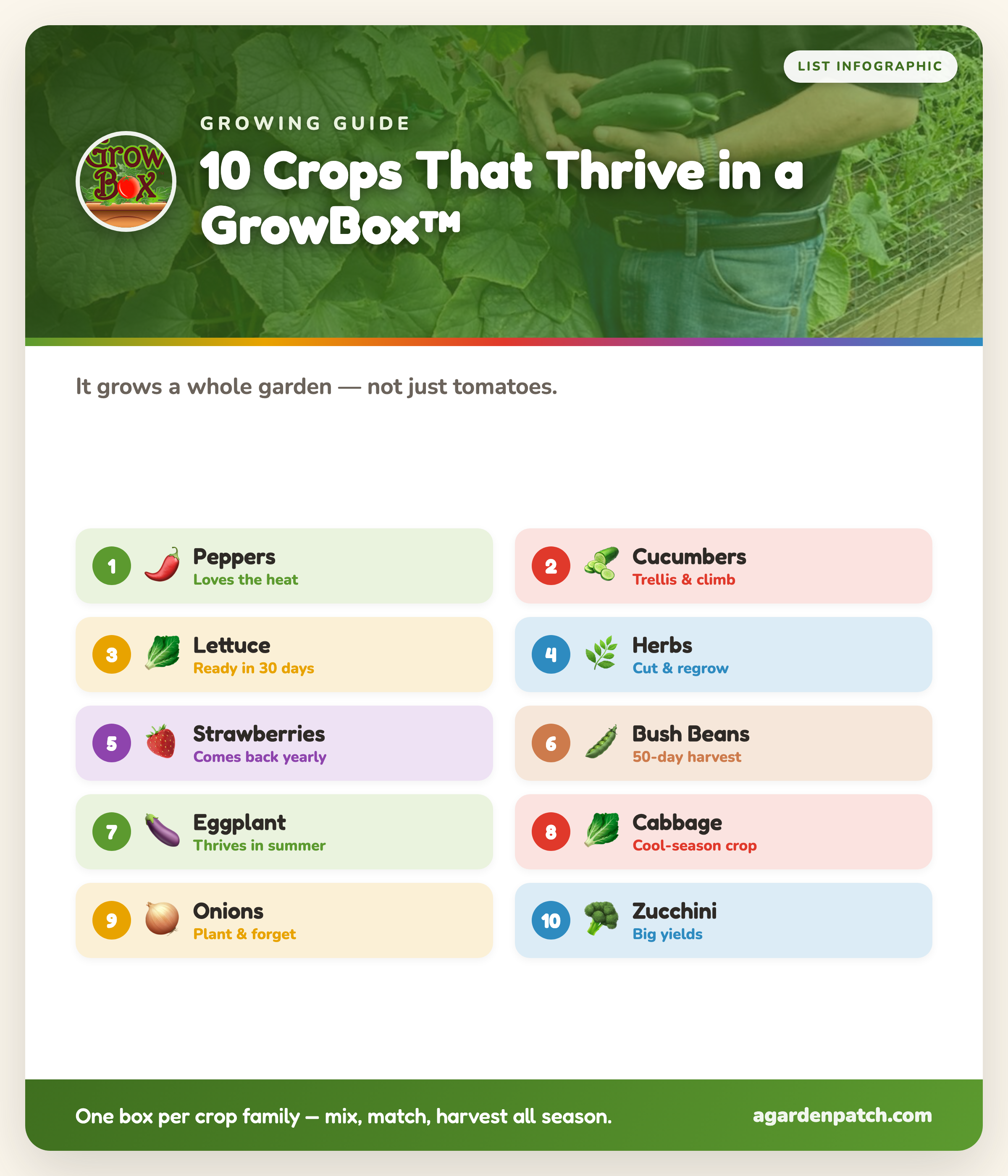 Infographic: 10 vegetables that thrive in a GrowBox