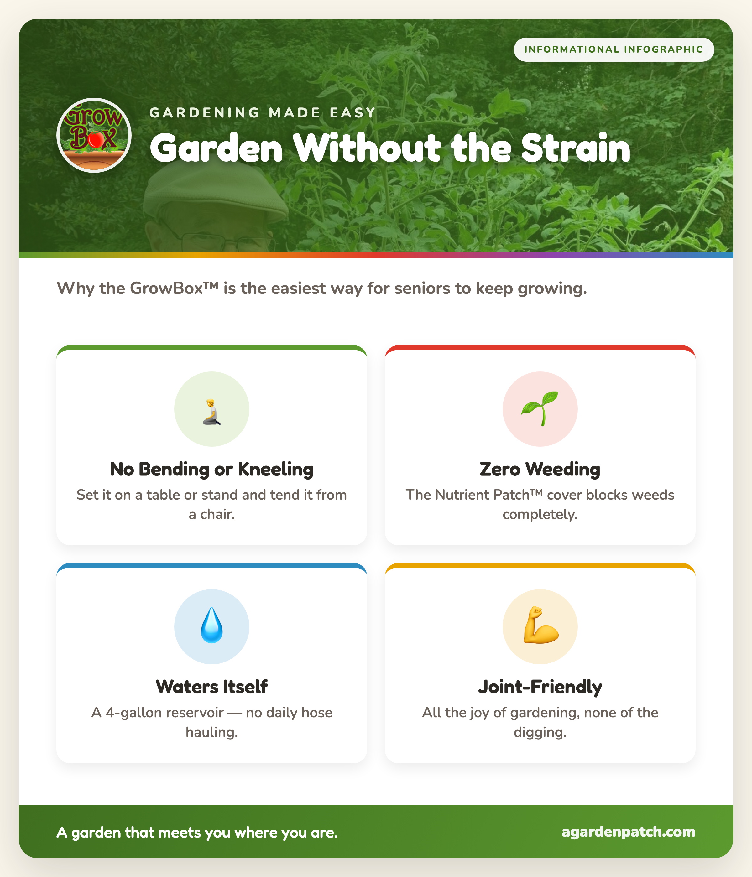 Infographic: how the GrowBox makes gardening easy for seniors