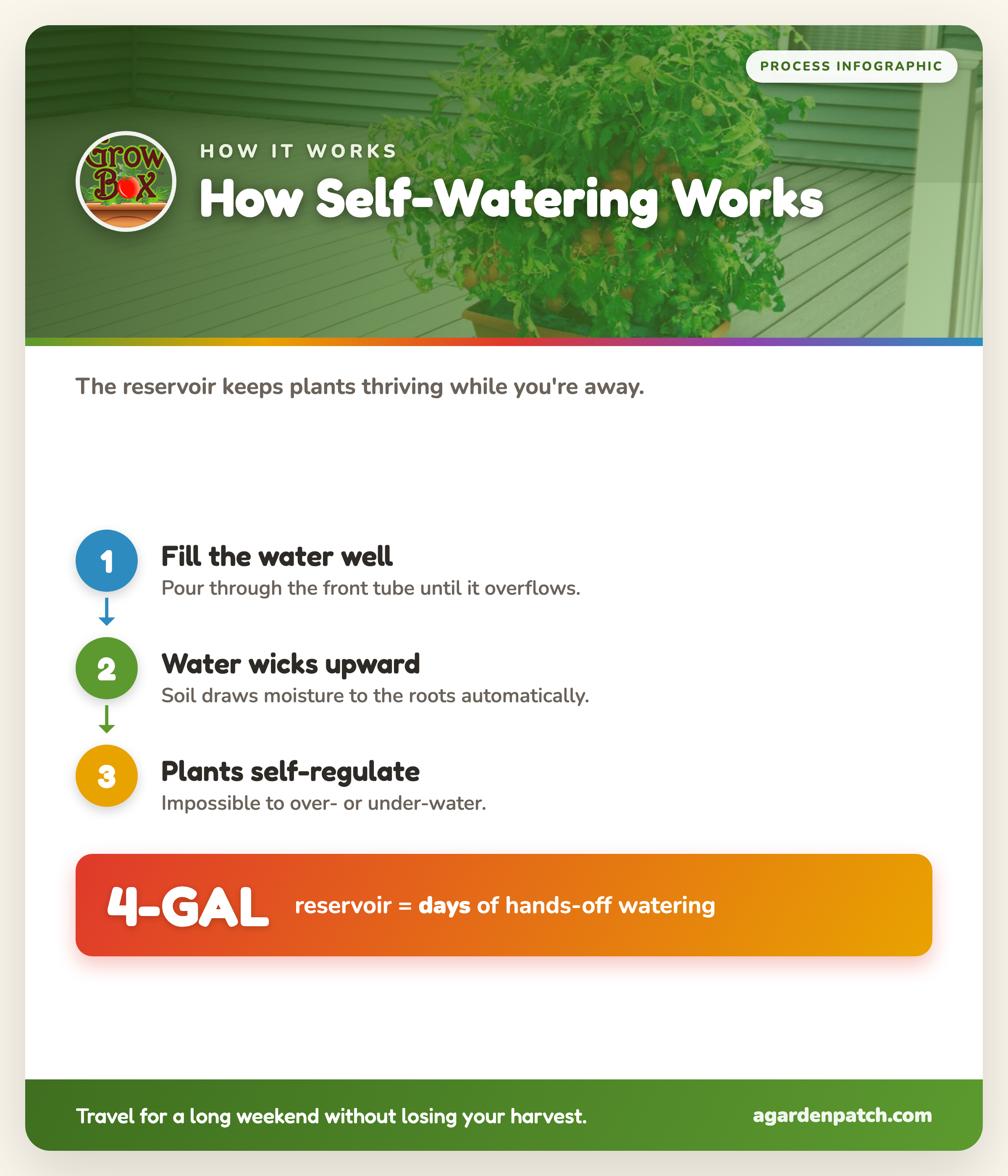 Infographic: how the GrowBox self-watering reservoir works