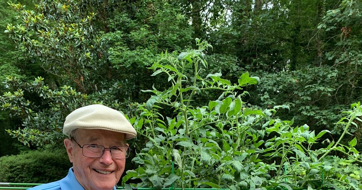 The No-Bending, No-Weeding Garden: Container Gardening for Seniors