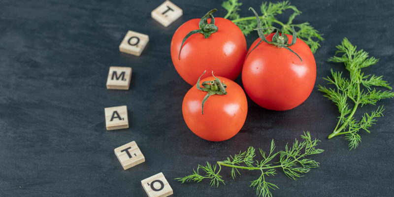 Understanding Nutrient Deficiency in Tomatoes – Garden Patch