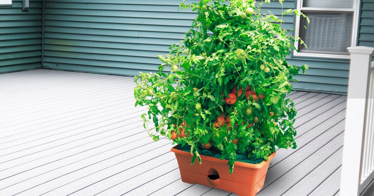 A self-watering GrowBox planter overflowing with vegetables growing on a deck