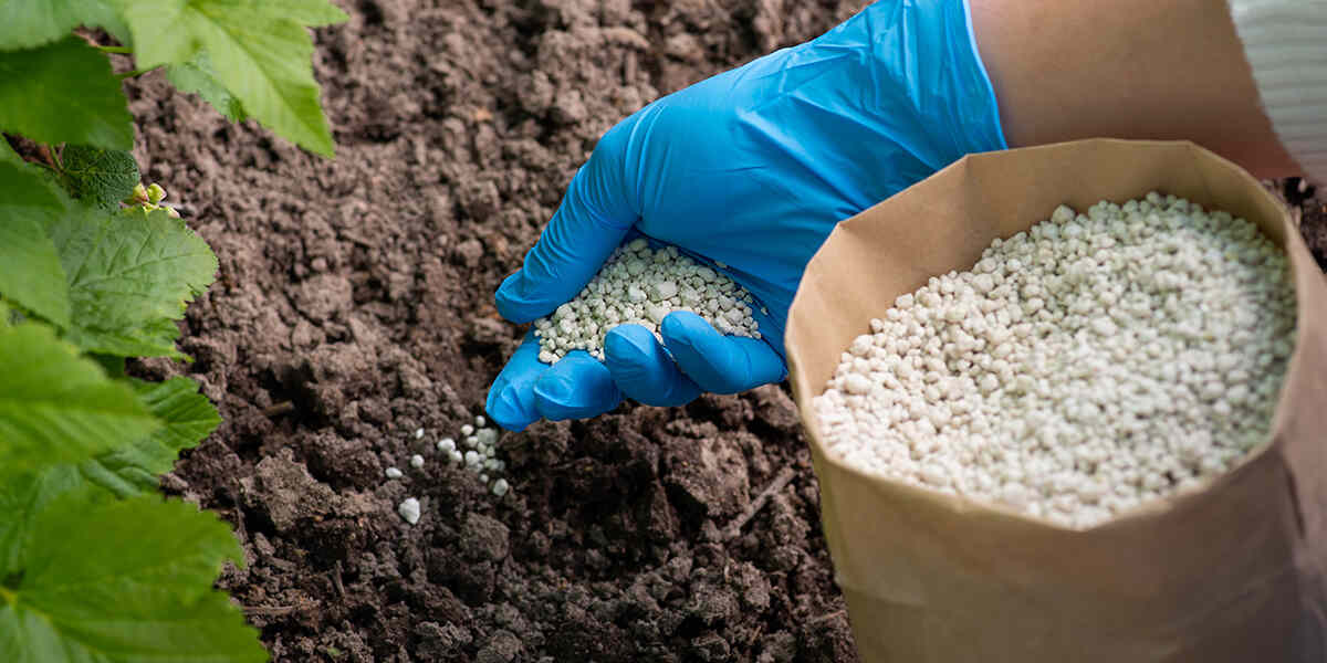 what does soil conditioner do