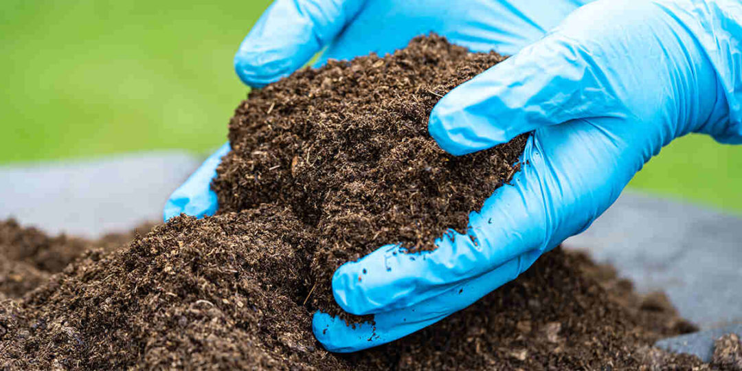 What Is Topsoil Made Of? Components & How To Improve Topsoil