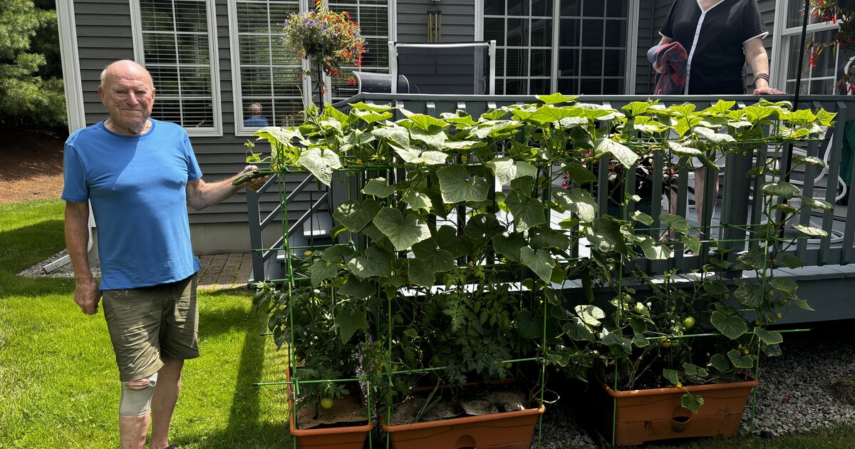 What to Plant in June: A Container Garden Plan for Summer Into Fall