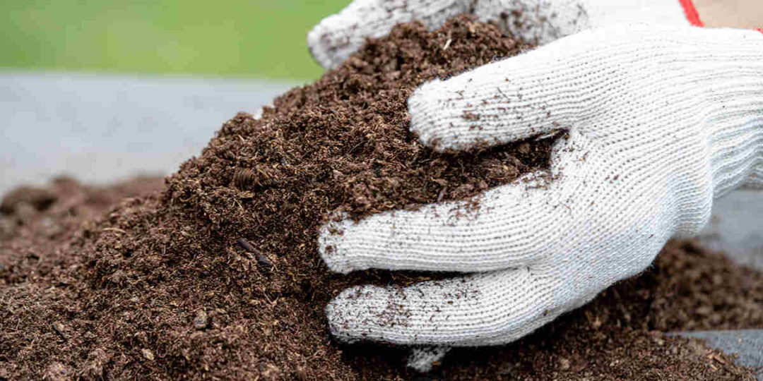 Dolomite Lime Vs. Garden Lime Differences & How To Use Them